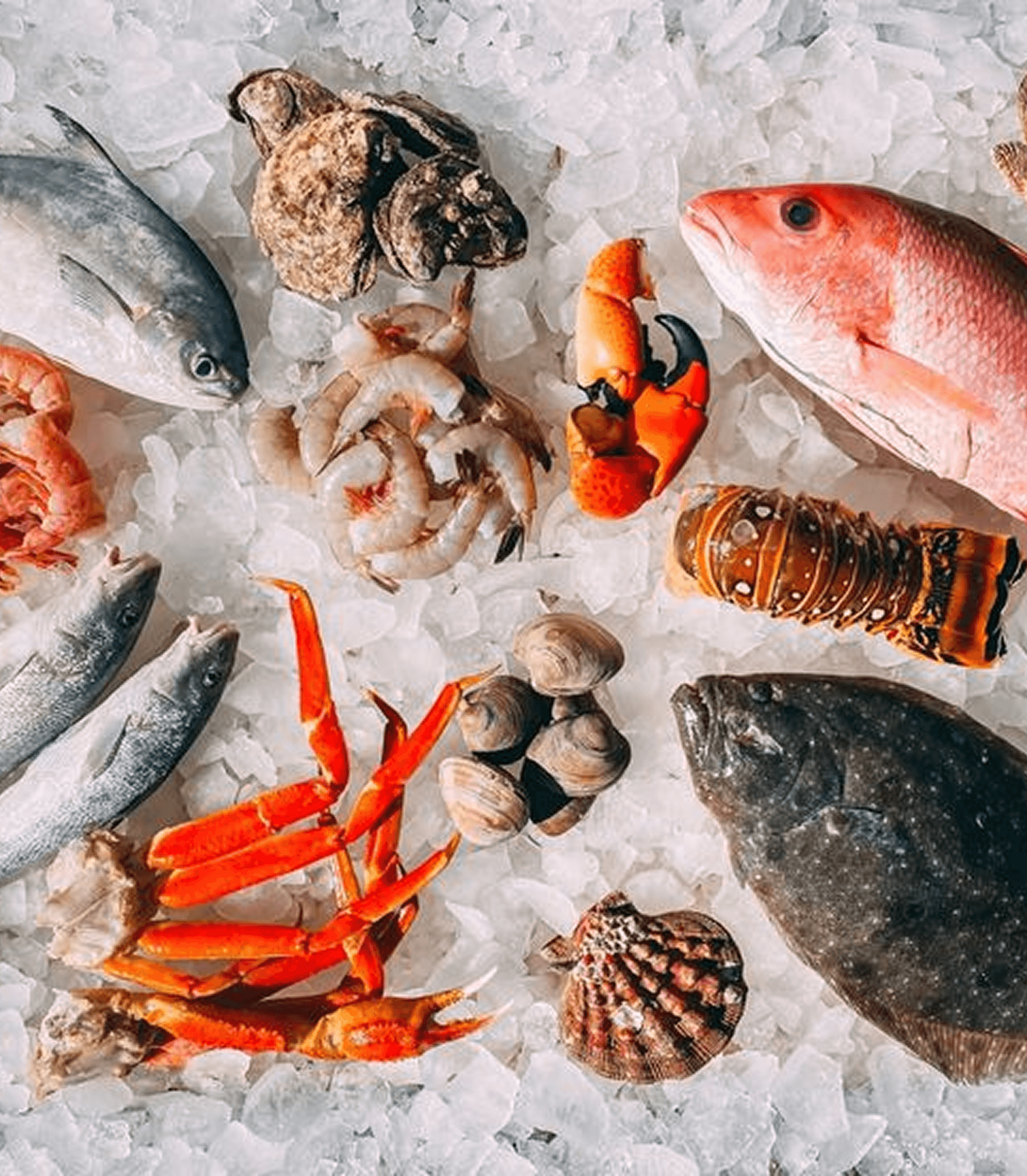 Indonesian Seafood Excellence